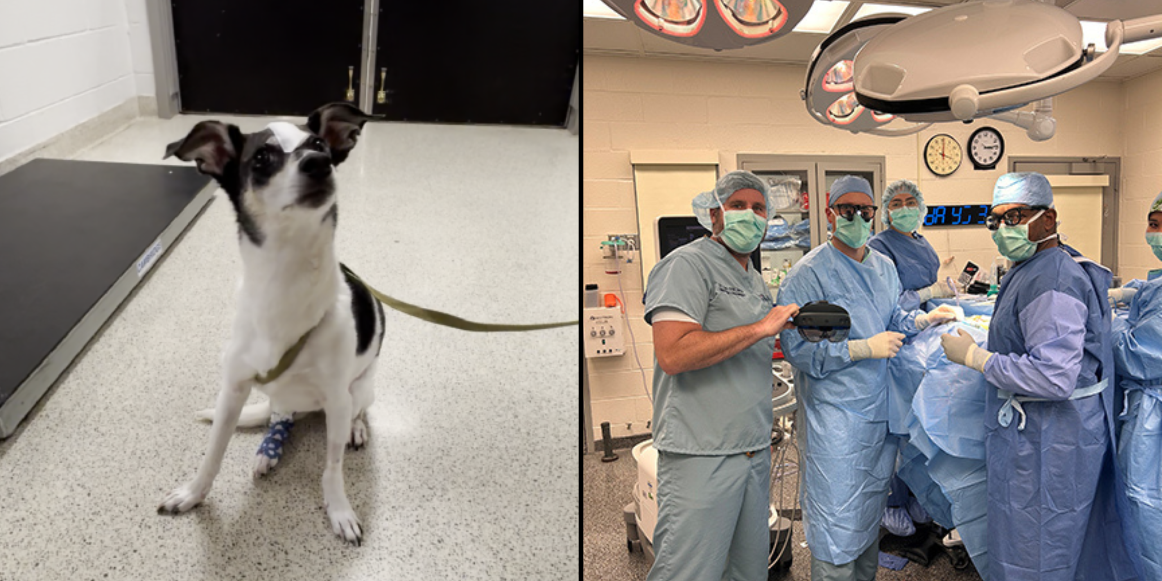 Geddy post-op and the surgical team with VisAR